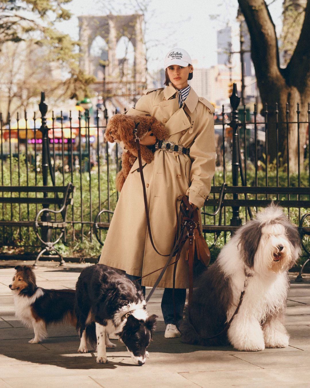 A woman in a camel trench coat walking three dogs in golden-hour light