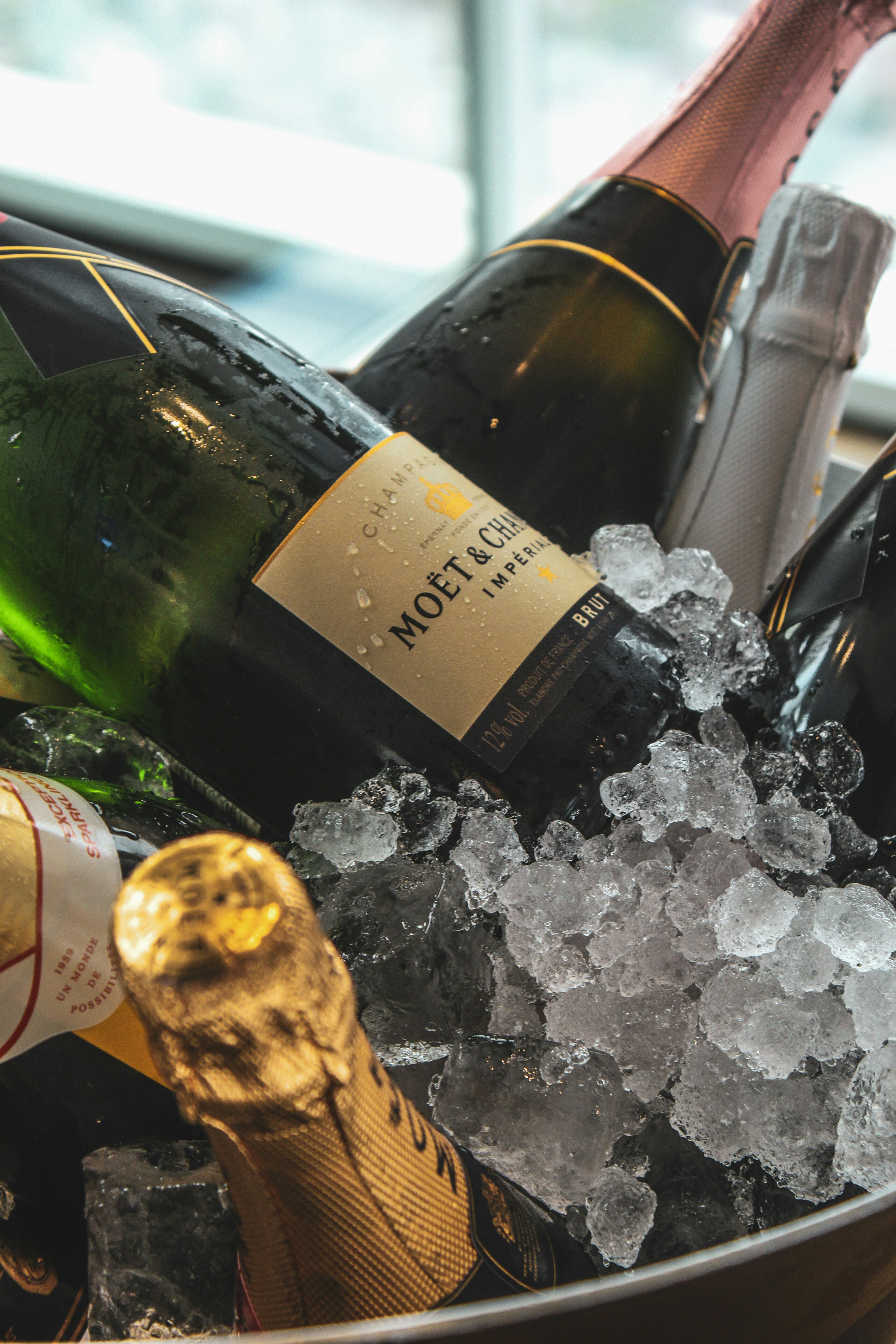 Champagne bottles on ice